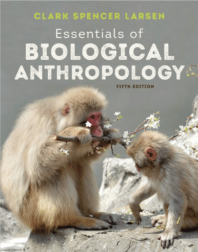 Essentials of Biological Anthropology, 5th Edition | 9780393876857