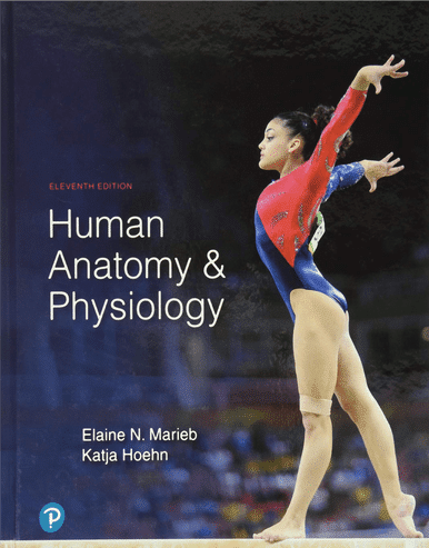 Human Anatomy and Physiology 11th Edition, Textbook by Marieb & Hoehn : ISBN 9780134580999