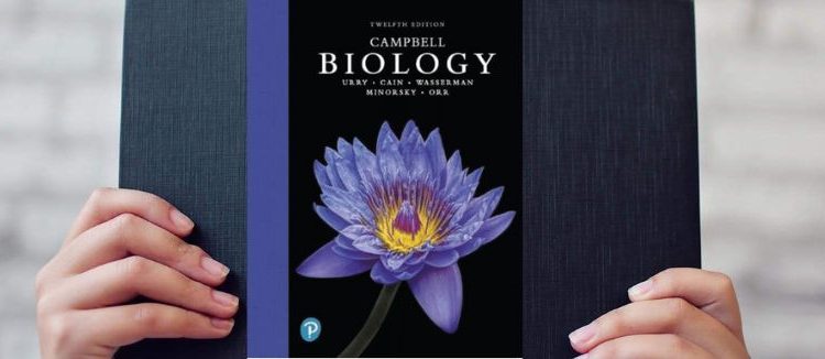 understanding concept of campbell biology latest edition