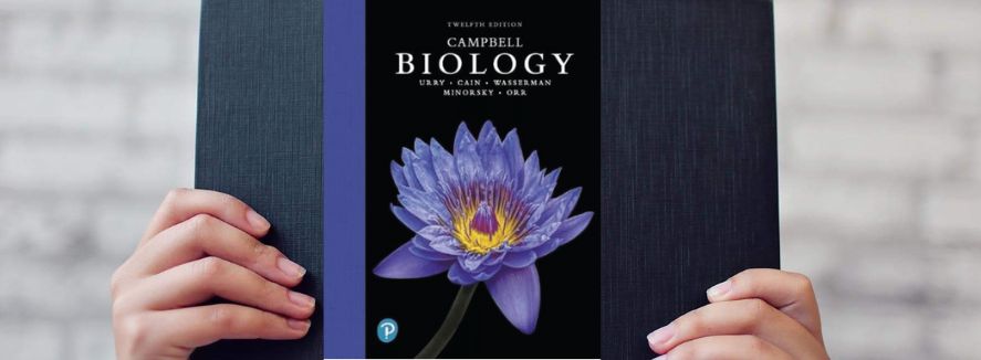 understanding concept of campbell biology latest edition